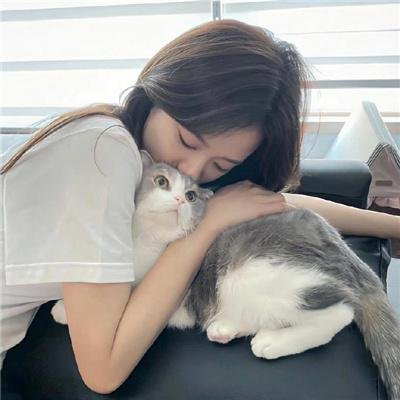 笑盗江湖